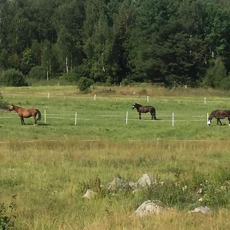 Villa Egen Laegenhet I 2-Familjshus Pa Landet. Tierp Esterno foto