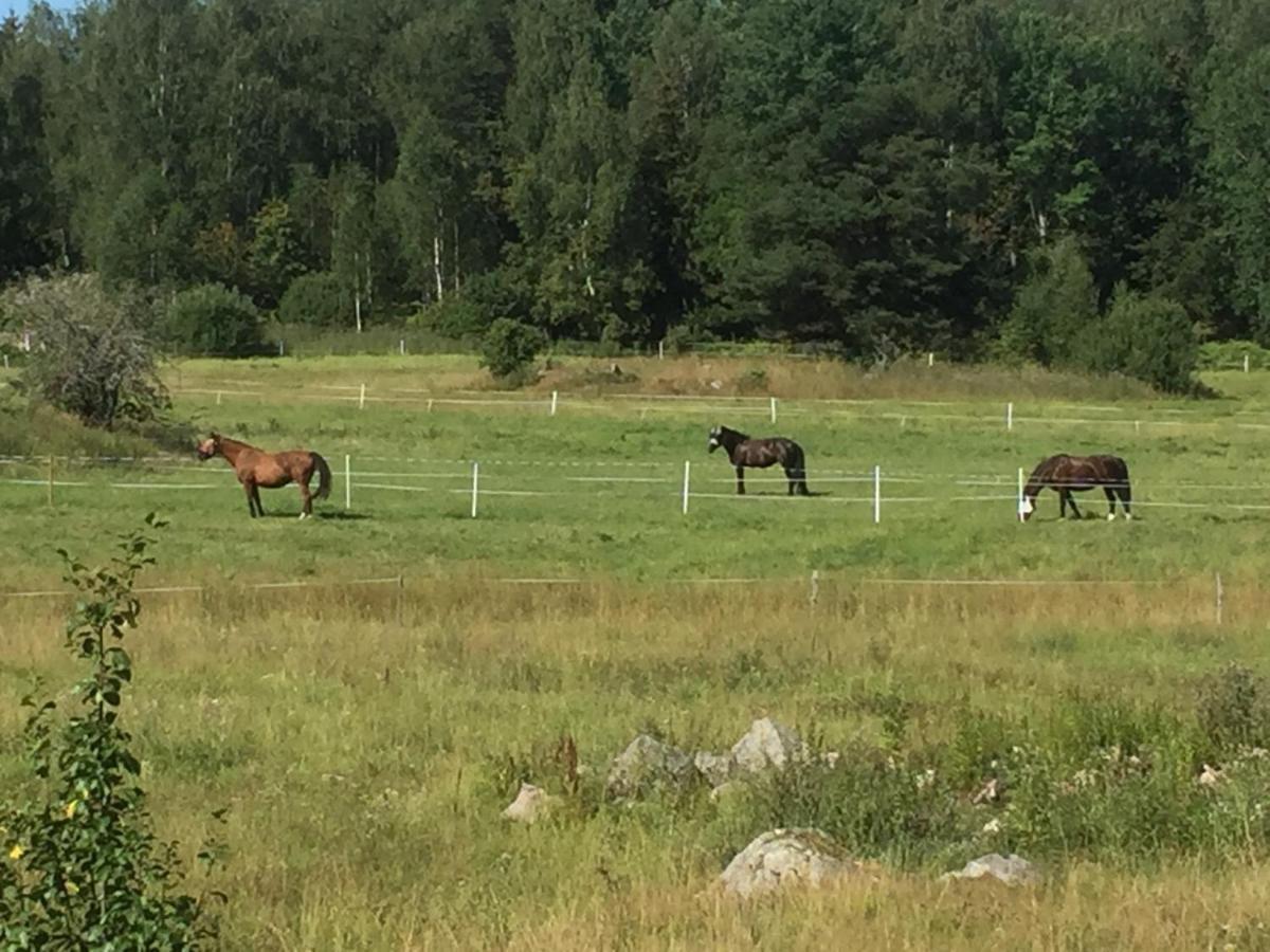 Villa Egen Laegenhet I 2-Familjshus Pa Landet. Tierp Esterno foto